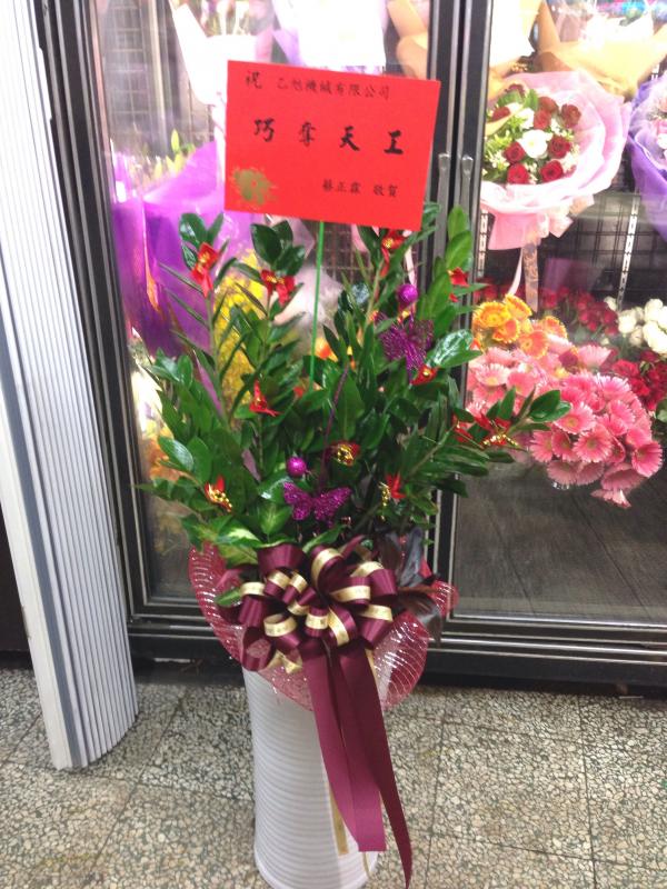 !!招財金錢樹(十九)!!