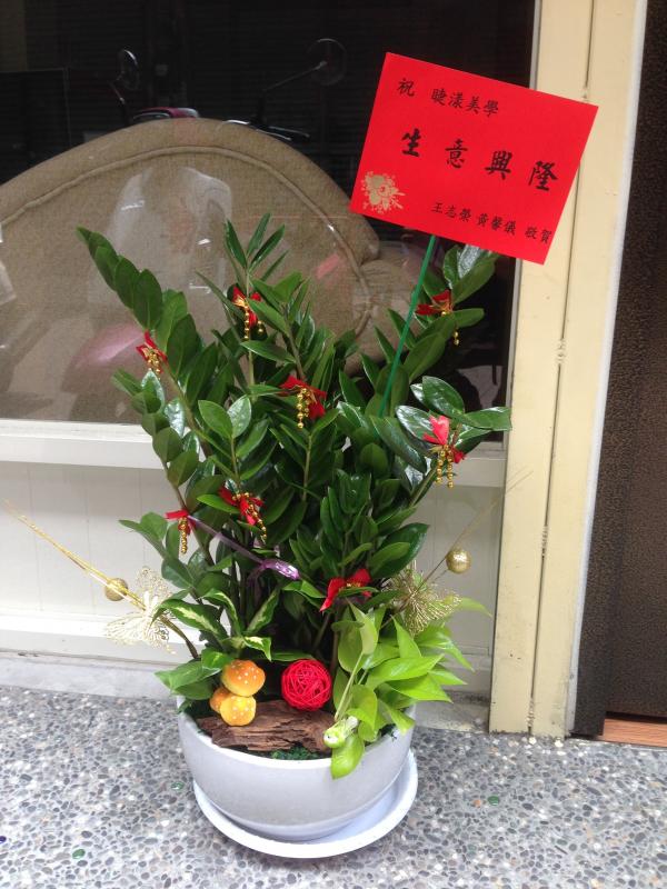 !!創意組合盆景(十一)!!