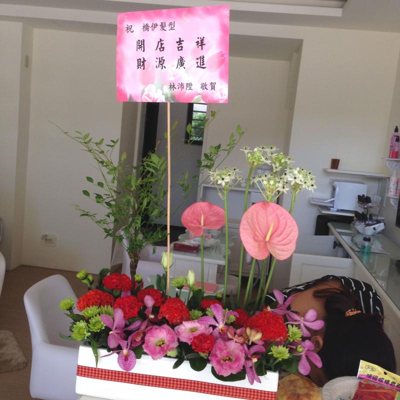 !!桌上盆花(十三)!!