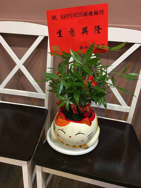 !!可愛瑤擺貓(九)!!