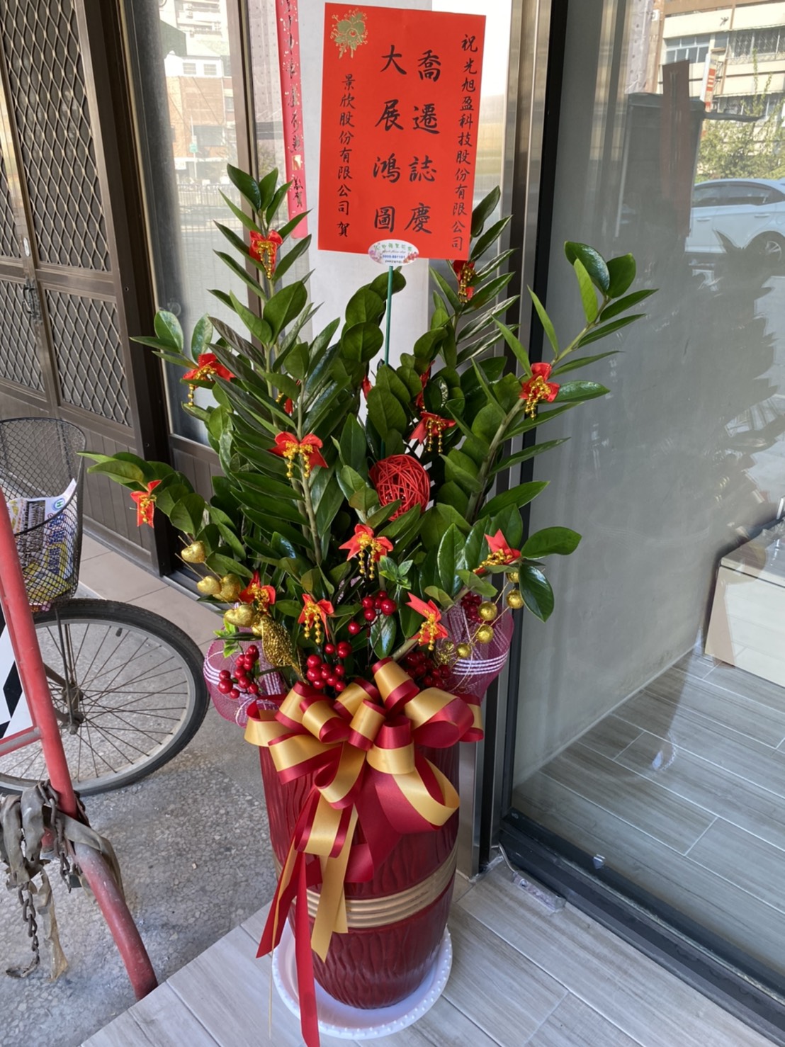 !!金錢樹組合盆景(七)!!