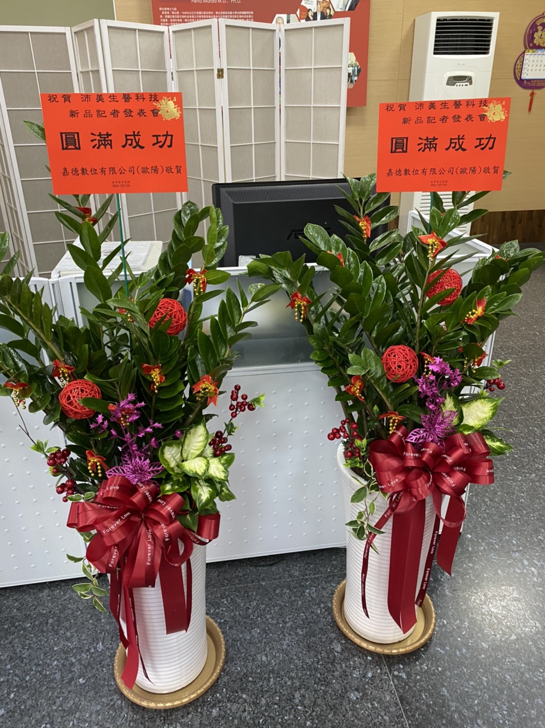 !!招財金錢樹一對(十五)!!
