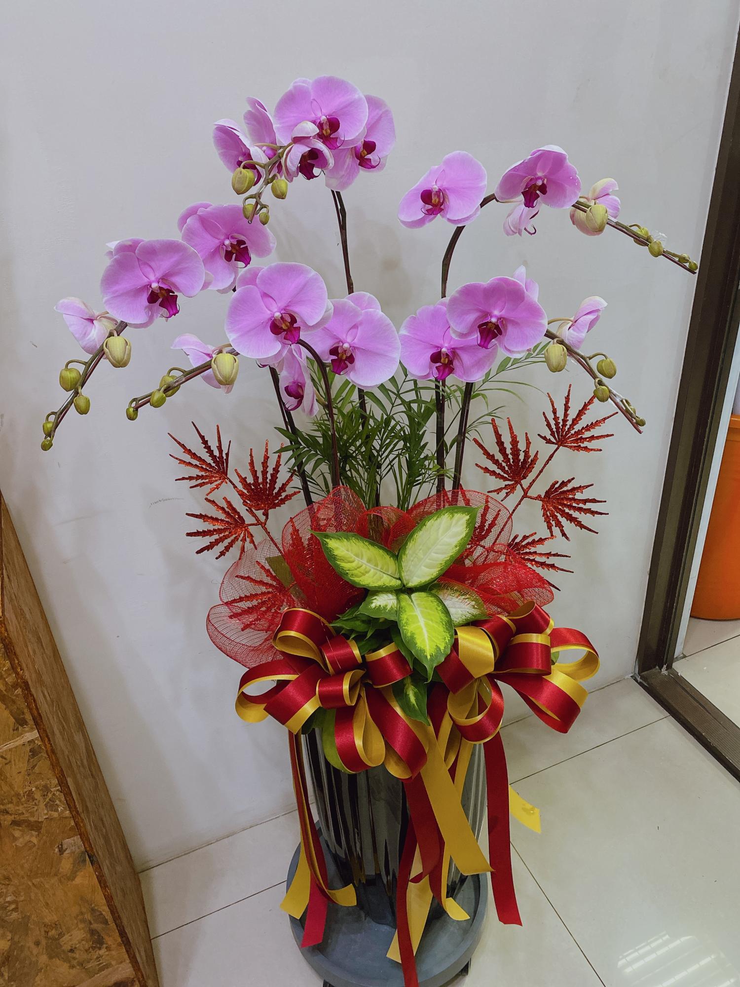 精緻組合蘭花