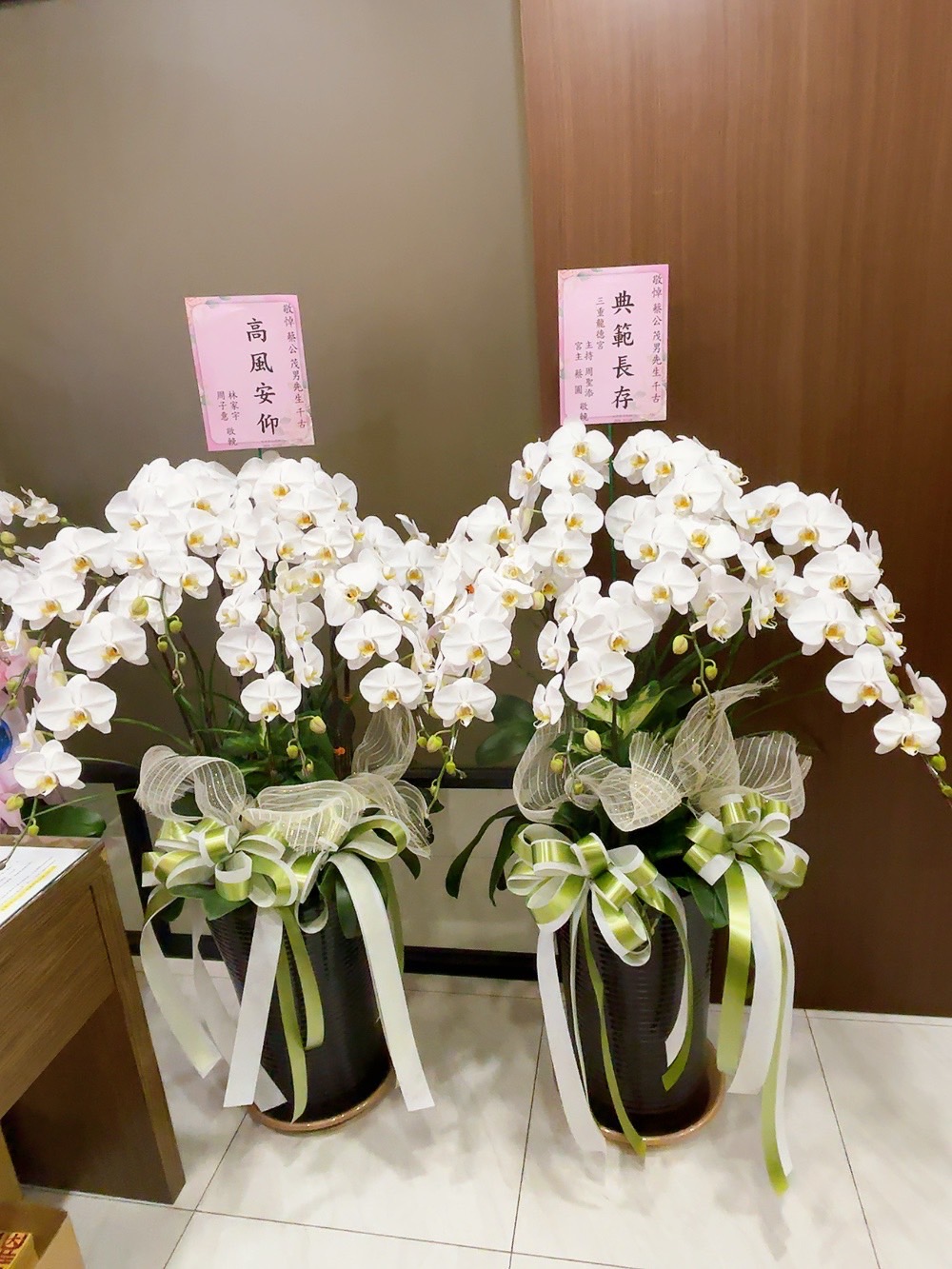 高雅蝴蝶蘭花