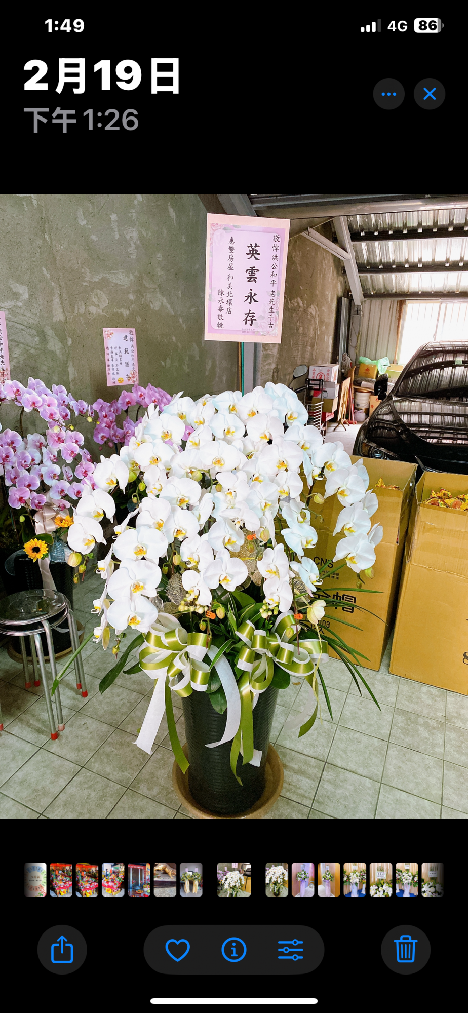 追思蝴蝶蘭花