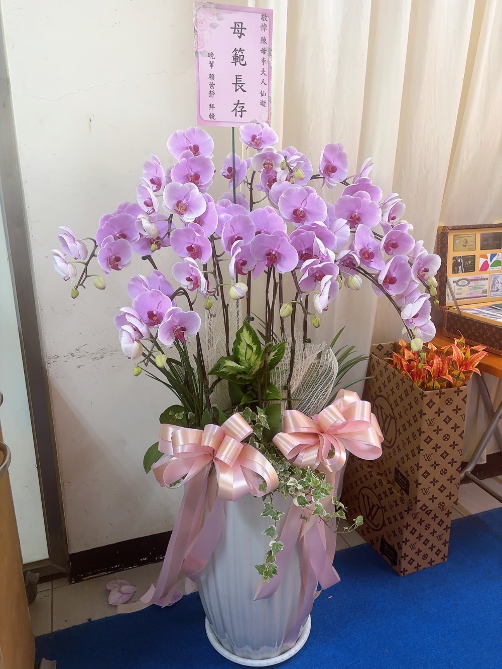 追思蝴蝶蘭花