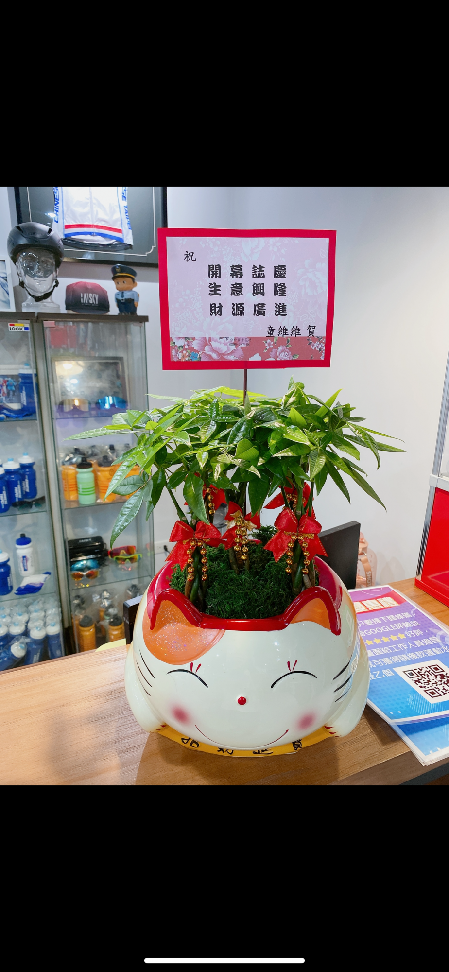 搖錢貓