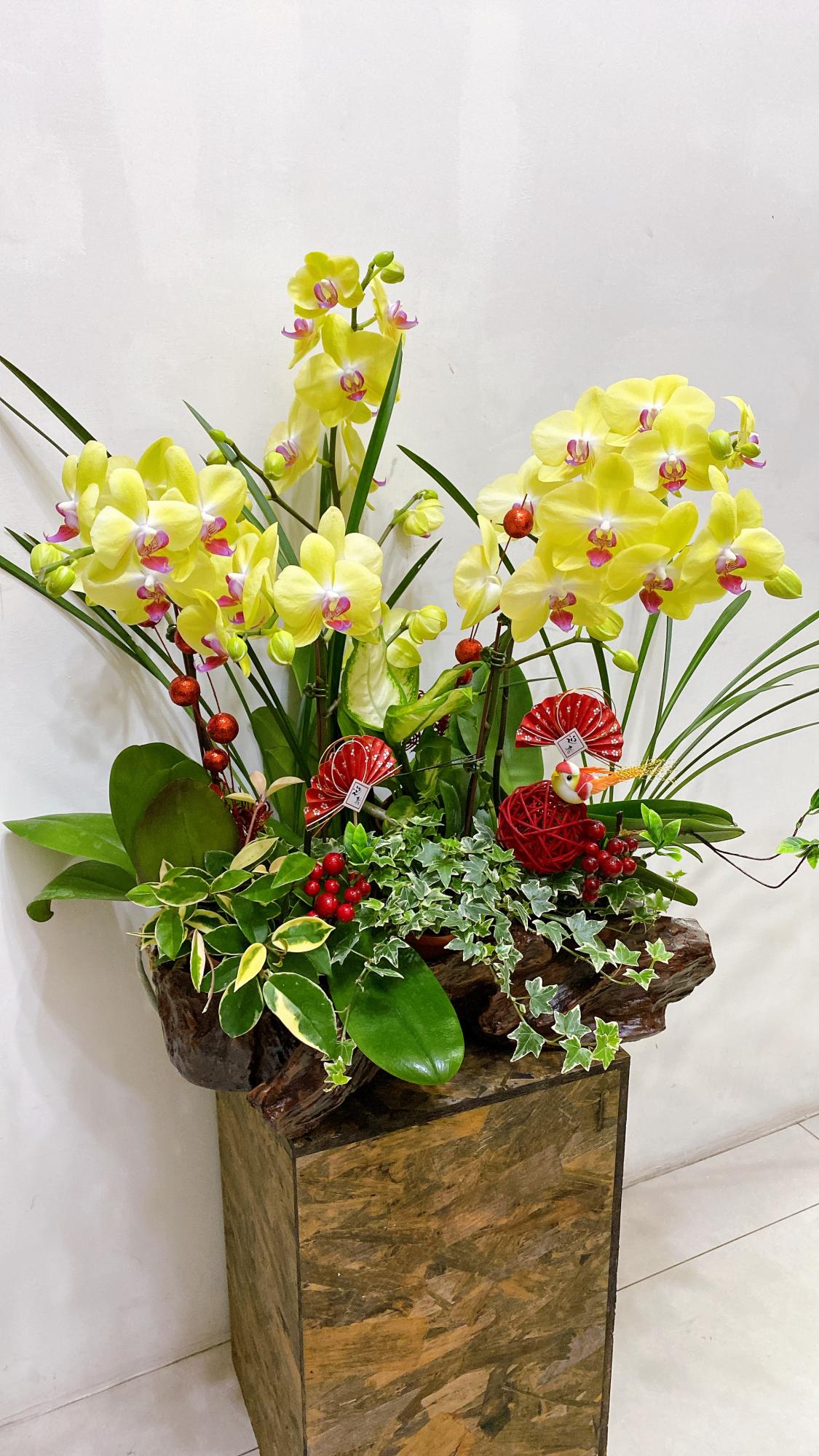 精緻組合蘭花