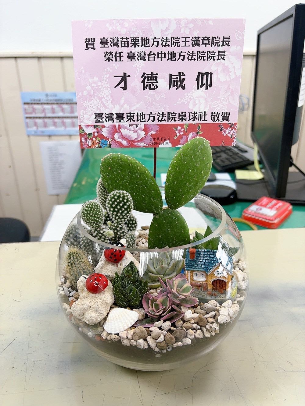 多肉玻璃球