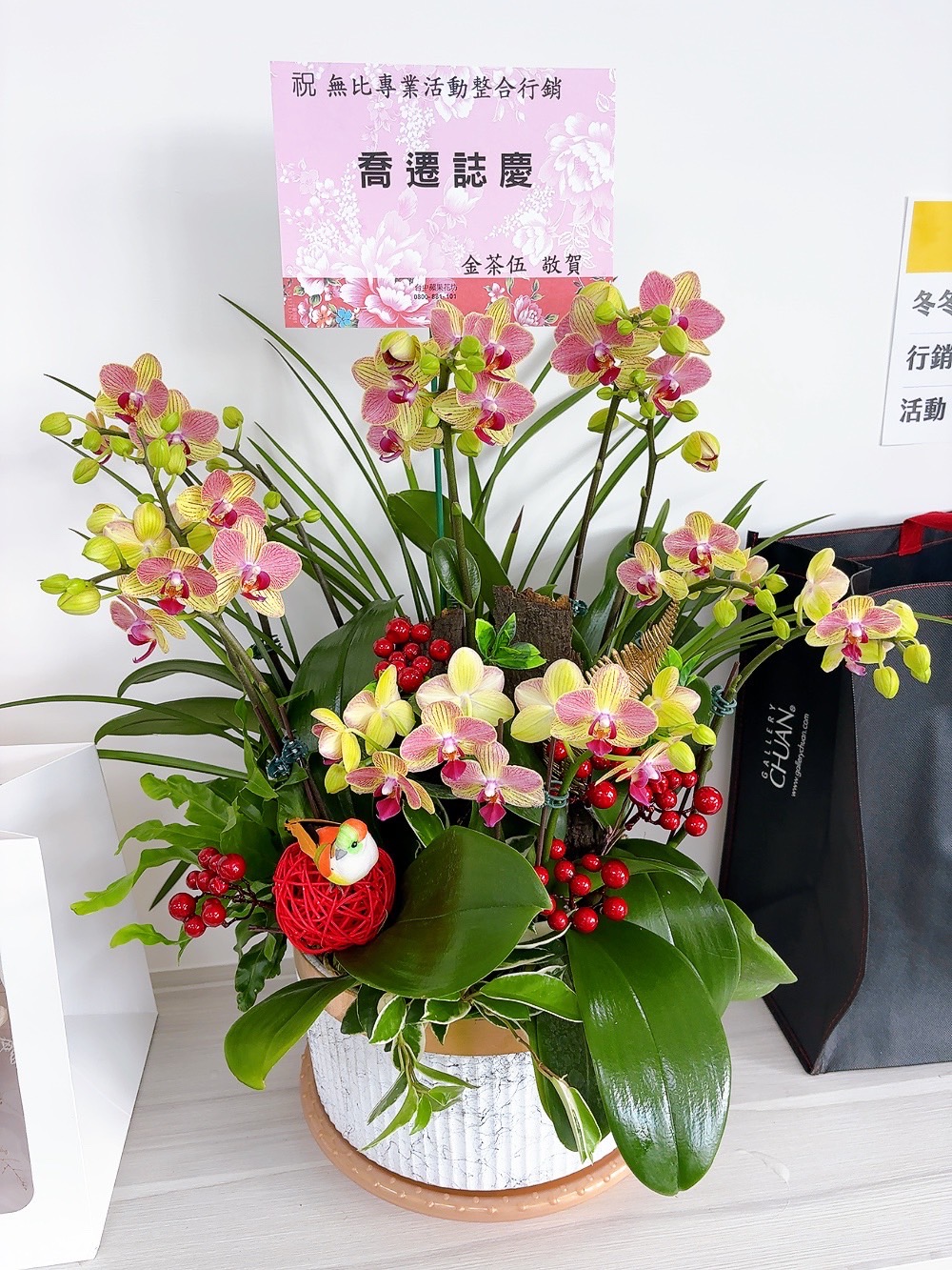 精緻組合蘭花
