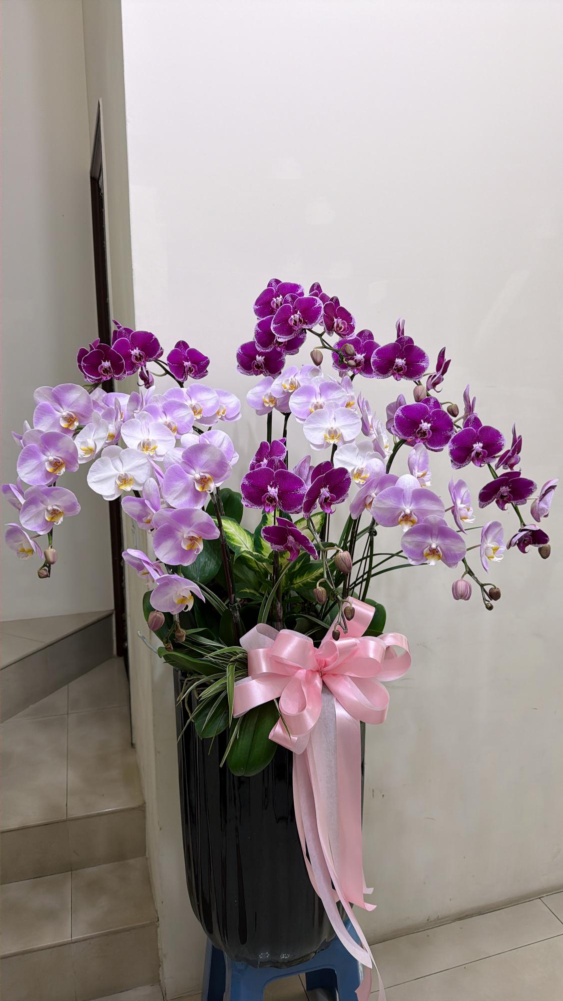 追思蘭花