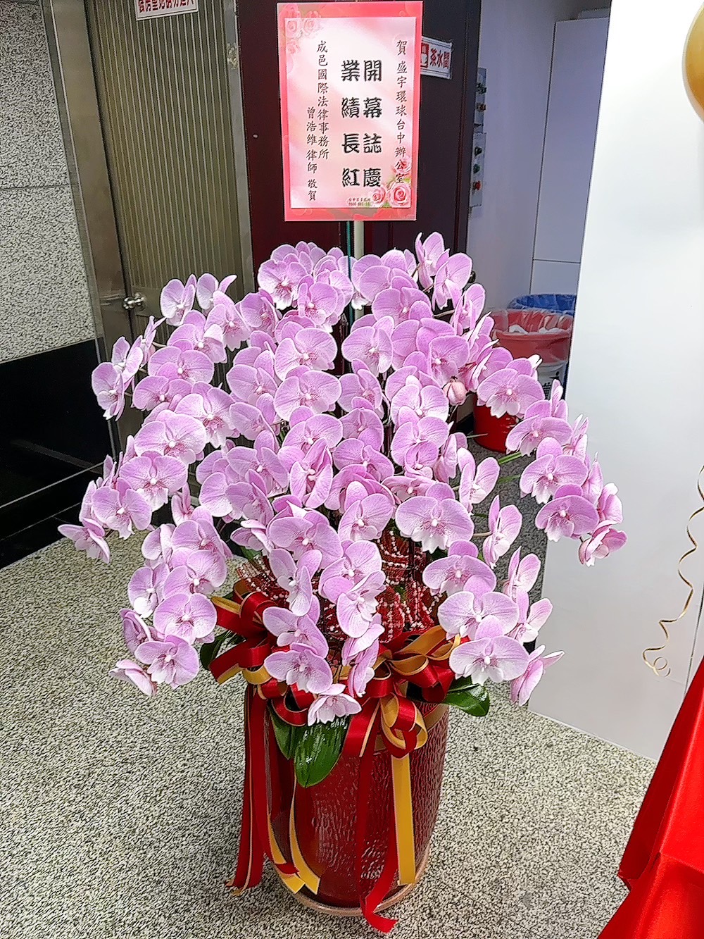 喜慶蝴蝶蘭